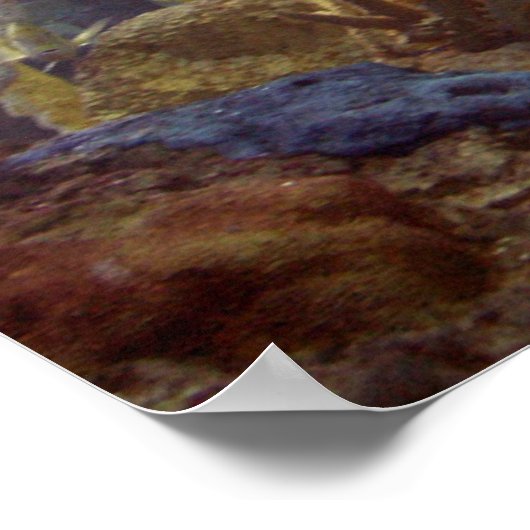 Fisch2 Poster (Ecke)