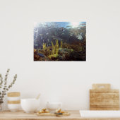 Fisch2 Poster (Küche)