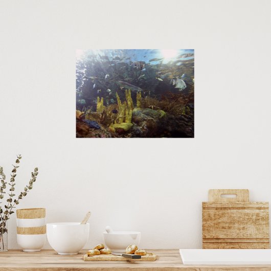 Fisch2 Poster (Küche)