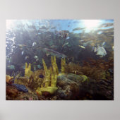 Fisch2 Poster (Vorne)