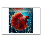 Fisch (물 고 기) - Koreanische Flash Cards Tischnummer (Vorderseite)