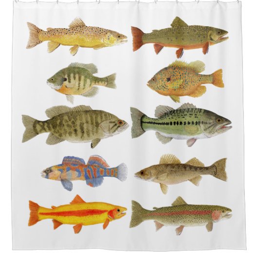 Fisch 2 Duschvorhang (Vorderseite)