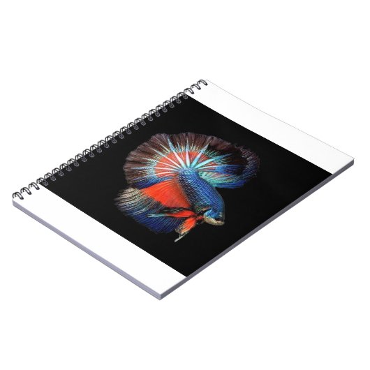 Fisch-5115102_1280 Notizblock (Linke Seite)