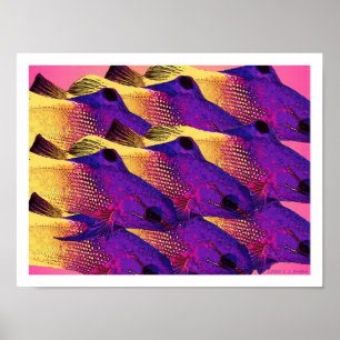 'Fisch 6.2' Poster