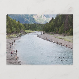 Fisch Alaska! Postkarte