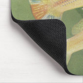 Fisch - Albino Mollies - Poecilia latipinna Mousepad (Ecke)