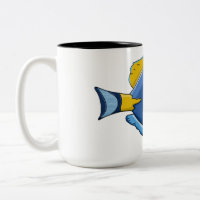 Fisch, Aquarium, Naturfotos