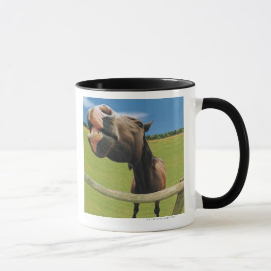 Fisch-Auge Ansicht des Pferds Tasse (Rechts)