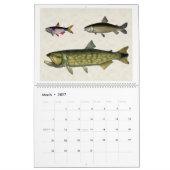 Fisch aus Südamerika 2026 Kalender (Mär 2027)