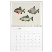 Fisch aus Südamerika 2026 Kalender (Jan 2027)