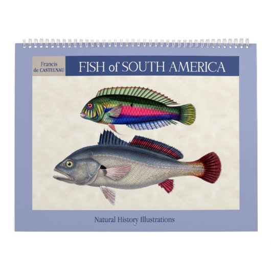 Fisch aus Südamerika 2026 Kalender (Titelbild)