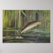 Fisch - Bachforelle - Salmo trutta Poster (Vorne)