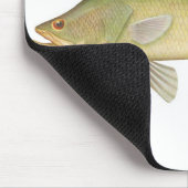 Fisch - Barramundi - Lates calcarifer Mousepad (Ecke)