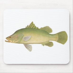 Fisch - Barramundi - Lates calcarifer Mousepad