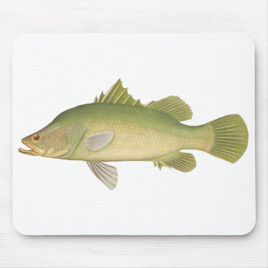 Fisch - Barramundi - Lates calcarifer Mousepad (Vorne)