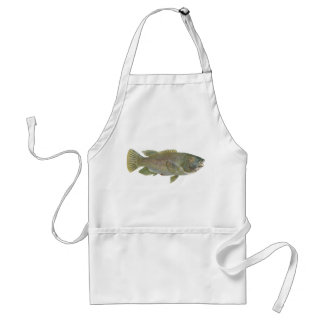Fisch - Blauer Groper - Achoerodus gouldii Schürze