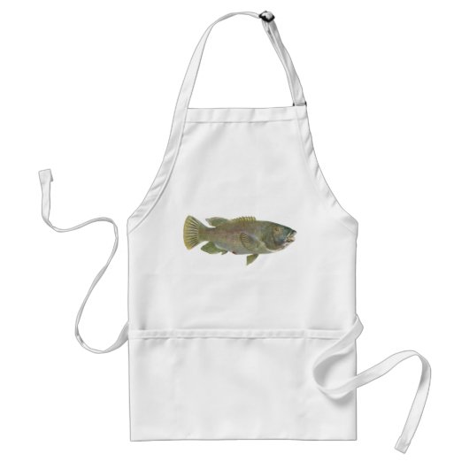 Fisch - Blauer Groper - Achoerodus gouldii Schürze (Vorne)