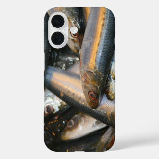 Fisch iPhone 16 Hülle
