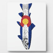 Fisch Colorado Fotoplatte (Vorderseite)