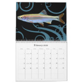 Fisch der Welt 2010 Kalender (Feb 2026)
