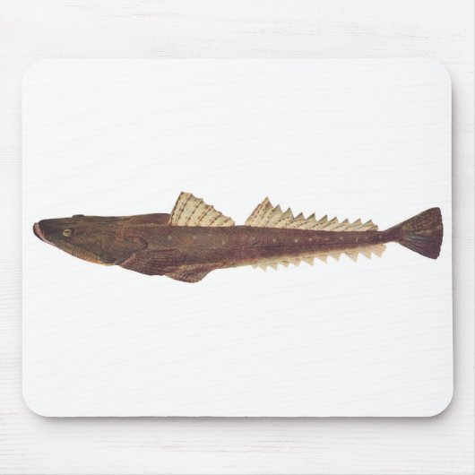 Fisch - Dusky Flathead - Platycephalus fuscus Mousepad (Vorne)