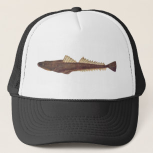 Fisch - Dusky Flathead - Platycephalus fuscus Truckerkappe