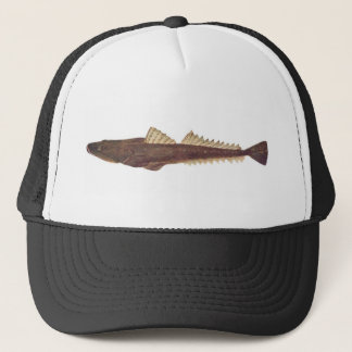 Fisch - Dusky Flathead - Platycephalus fuscus Truckerkappe