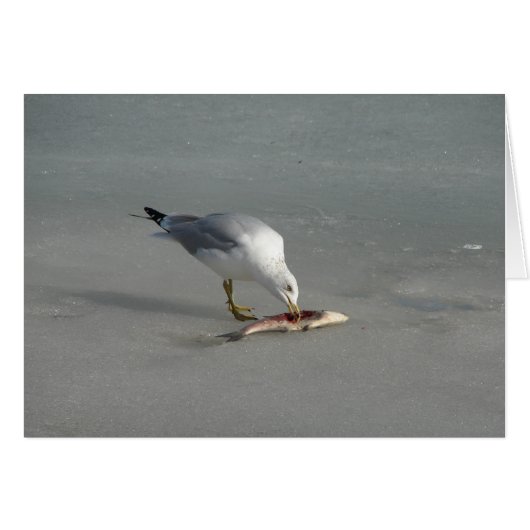 Fisch essen (Vorderseite (Horizontal))