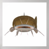 Fisch, flach, Kopf Poster (Vorne)