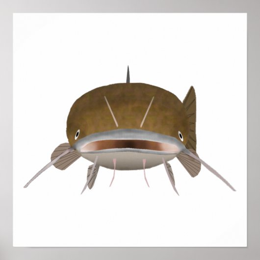 Fisch, flach, Kopf Poster (Vorne)