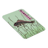 Fisch für eine Katze Magnet (Rechte Seite)