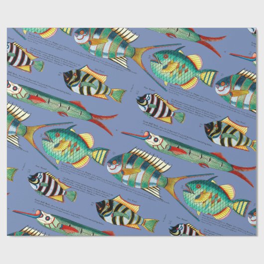 Fisch Geschenkpapier (Flach)