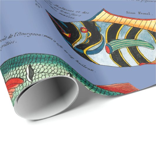 Fisch Geschenkpapier (Rolleneckpunkt)