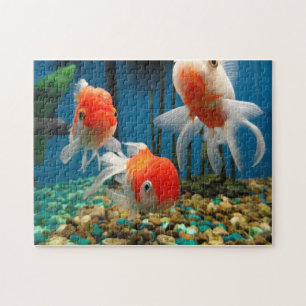 Fisch-Geschichten Puzzle