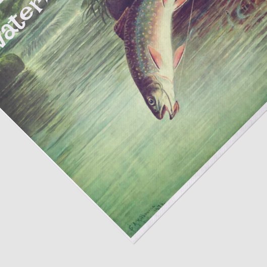 Fisch-Gewebe Seidenpapier (Ausschnitt)