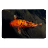 Fisch - Großer Fisch kleiner Teich Magnet (Horizontal)