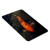 Fisch - Großer Fisch kleiner Teich Magnet (Rechte Seite)
