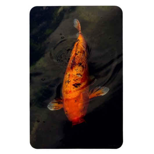 Fisch - Großer Fisch kleiner Teich Magnet (Vertikal)