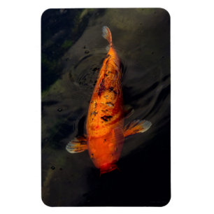 Fisch - Großer Fischteich Magnet
