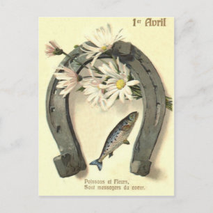 Fisch Hufeisen Gänseblümchen Postkarte