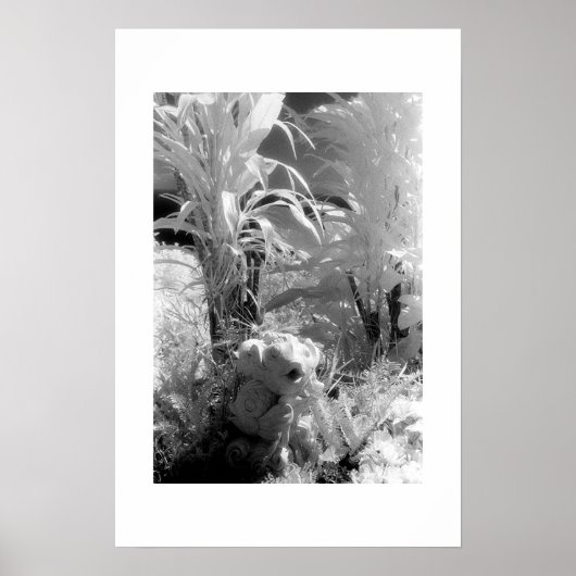 Fisch im Garten von Eden Poster (Vorne)