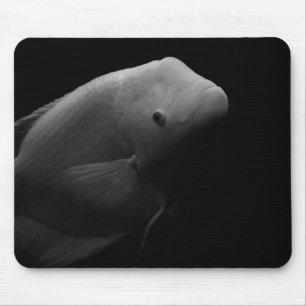 Fisch im Tank - Schwarz-Weiß-Kunstfotografie Mousepad