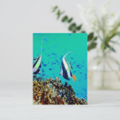 Fisch in den finnischen Gewässern Postkarte (Stehend Vorderseite)