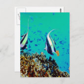 Fisch in den finnischen Gewässern Postkarte (Vorne/Hinten)