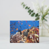 Fisch in den finnischen Gewässern Postkarte (Stehend Vorderseite)