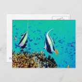 Fisch in den finnischen Gewässern Postkarte (Vorne/Hinten)