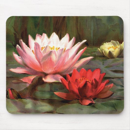 Fisch in den Lily Pads - Mousepad (Vorne)