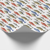 Fisch in Farbe Geschenkpapier (Ecke)