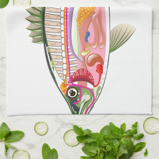 Fisch-innere Organe vektorkunst-Diagramm Anatomie Handtuch (Gefaltet)