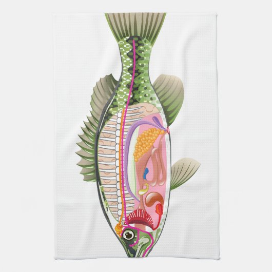 Fisch-innere Organe vektorkunst-Diagramm Anatomie Handtuch (Vertikal)